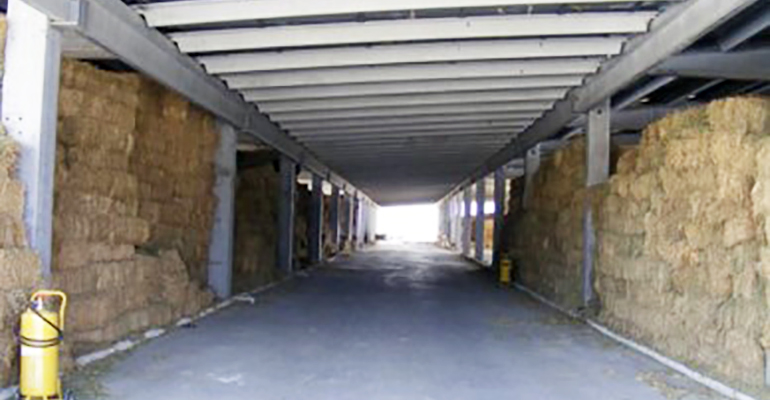 Süt ve Besi Hayvancılığı